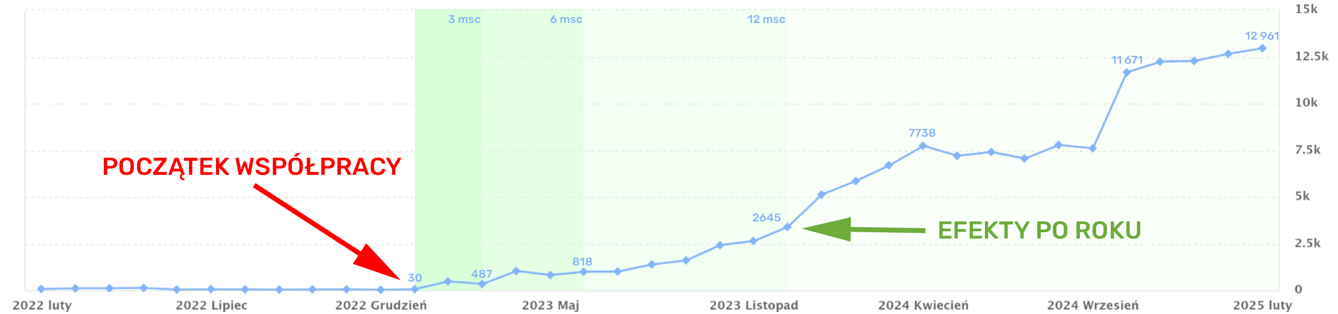 fitszef seo case study