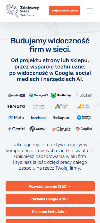 Czynniki rankingowe Google w 2026 roku - Praktyczny poradnik 2 mobile first