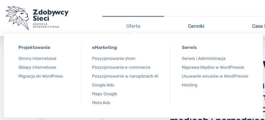 Profesjonalna struktura informacji na stronie Zdobywcy Sieci.