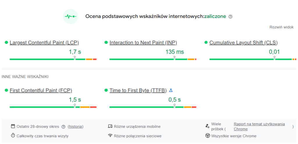 Weryfikacja szybkości strony w Google.