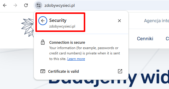 Zabezpieczone połączenie strony WWW.